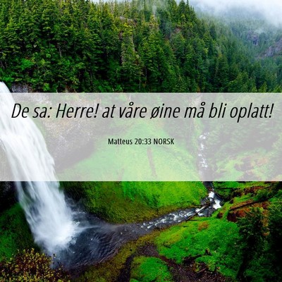 Picture 06 - Matteus 20:33 NORSK - De sa: Herre! at våre øine må bli - Bible Verse Picture