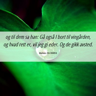 Picture 06 - Matteus 20:4 NORSK - og til dem sa han: Gå også I bort til - Bible Verse Picture