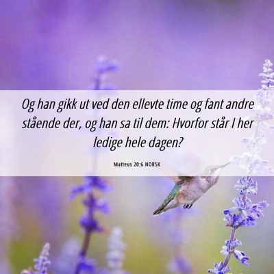 Picture 06 - Matteus 20:6 NORSK - Og han gikk ut ved den ellevte time og fant andre - Bible Verse Picture