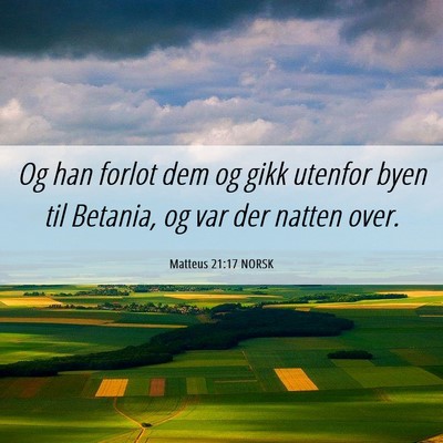 Picture 06 - Matteus 21:17 NORSK - Og han forlot dem og gikk utenfor byen til - Bible Verse Picture