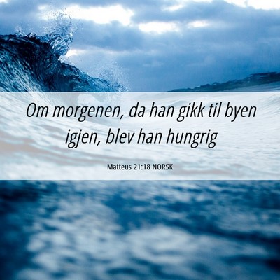 Picture 06 - Matteus 21:18 NORSK - Om morgenen, da han gikk til byen igjen, blev han - Bible Verse Picture