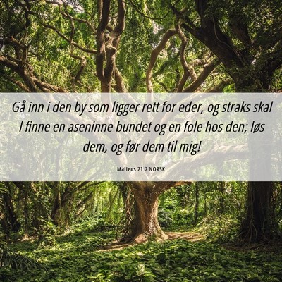 Picture 06 - Matteus 21:2 NORSK - Gå inn i den by som ligger rett for eder, og - Bible Verse Picture