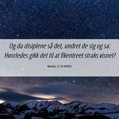 Picture 06 - Matteus 21:20 NORSK - Og da disiplene så det, undret de sig og sa: - Bible Verse Picture