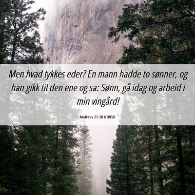 Picture 06 - Matteus 21:28 NORSK - Men hvad tykkes eder? En mann hadde to sønner, - Bible Verse Picture