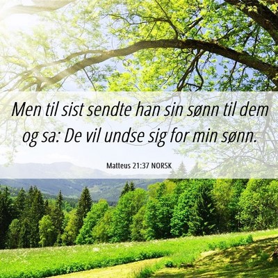 Picture 06 - Matteus 21:37 NORSK - Men til sist sendte han sin sønn til dem og sa: - Bible Verse Picture