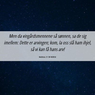 Picture 06 - Matteus 21:38 NORSK - Men da vingårdsmennene så sønnen, sa de sig - Bible Verse Picture