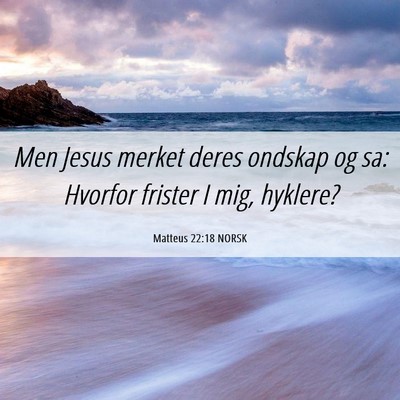 Picture 06 - Matteus 22:18 NORSK - Men Jesus merket deres ondskap og sa: Hvorfor - Bible Verse Picture