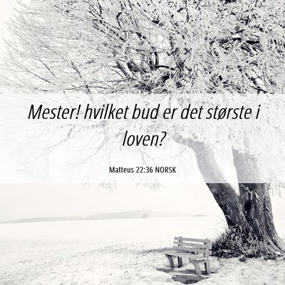 Picture 06 - Matteus 22:36 NORSK - Mester! hvilket bud er det største i - Bible Verse Picture