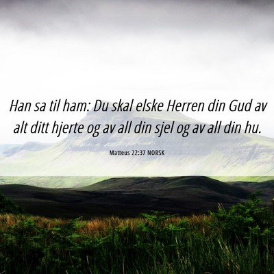 Picture 06 - Matteus 22:37 NORSK - Han sa til ham: Du skal elske Herren din Gud av - Bible Verse Picture