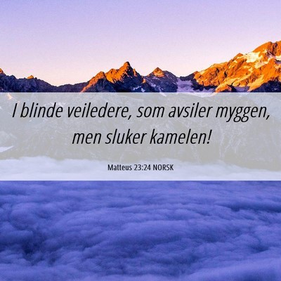 Picture 06 - Matteus 23:24 NORSK - I blinde veiledere, som avsiler myggen, men - Bible Verse Picture