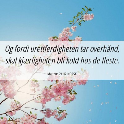 Picture 06 - Matteus 24:12 NORSK - Og fordi urettferdigheten tar overhånd, skal - Bible Verse Picture