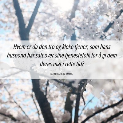 Picture 06 - Matteus 24:45 NORSK - Hvem er da den tro og kloke tjener, som hans - Bible Verse Picture