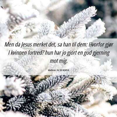 Picture 06 - Matteus 26:10 NORSK - Men da Jesus merket det, sa han til dem: Hvorfor - Bible Verse Picture