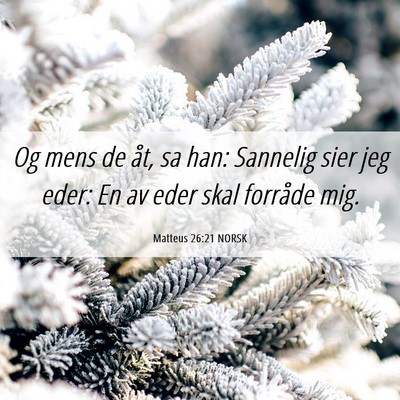 Picture 06 - Matteus 26:21 NORSK - Og mens de åt, sa han: Sannelig sier jeg eder: - Bible Verse Picture