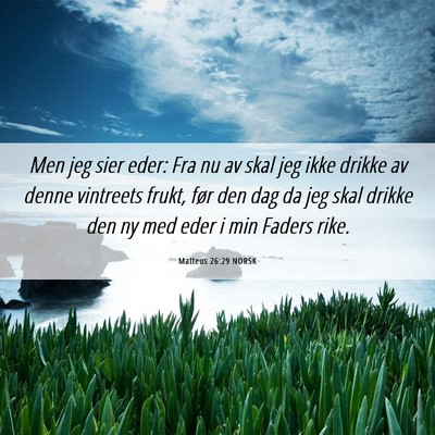 Picture 06 - Matteus 26:29 NORSK - Men jeg sier eder: Fra nu av skal jeg ikke drikke - Bible Verse Picture