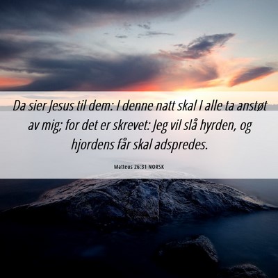 Picture 06 - Matteus 26:31 NORSK - Da sier Jesus til dem: I denne natt skal I alle - Bible Verse Picture