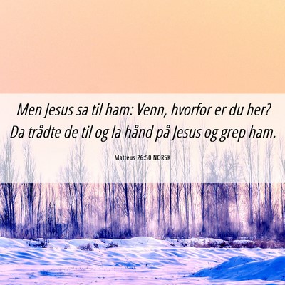 Picture 06 - Matteus 26:50 NORSK - Men Jesus sa til ham: Venn, hvorfor er du her? Da - Bible Verse Picture