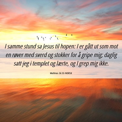 Picture 06 - Matteus 26:55 NORSK - I samme stund sa Jesus til hopen: I er gått ut - Bible Verse Picture
