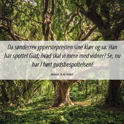 Picture 06 - Matteus 26:65 NORSK - Da sønderrev ypperstepresten sine klær og sa: - Bible Verse Picture