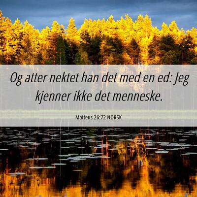 Picture 06 - Matteus 26:72 NORSK - Og atter nektet han det med en ed: Jeg kjenner - Bible Verse Picture