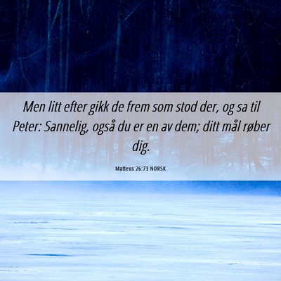 Picture 06 - Matteus 26:73 NORSK - Men litt efter gikk de frem som stod der, og sa - Bible Verse Picture