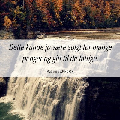 Picture 06 - Matteus 26:9 NORSK - Dette kunde jo være solgt for mange penger og - Bible Verse Picture