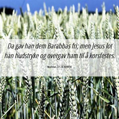 Picture 06 - Matteus 27:26 NORSK - Da gav han dem Barabbas fri; men Jesus lot han - Bible Verse Picture