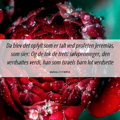 Picture 06 - Matteus 27:9 NORSK - Da blev det opfylt som er talt ved profeten - Bible Verse Picture