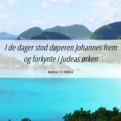 Picture 06 - Matteus 3:1 NORSK - I de dager stod døperen Johannes frem og - Bible Verse Picture