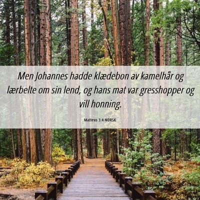 Picture 06 - Matteus 3:4 NORSK - Men Johannes hadde klædebon av kamelhår og - Bible Verse Picture