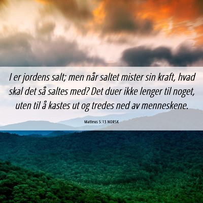 Picture 06 - Matteus 5:13 NORSK - I er jordens salt; men når saltet mister sin - Bible Verse Picture