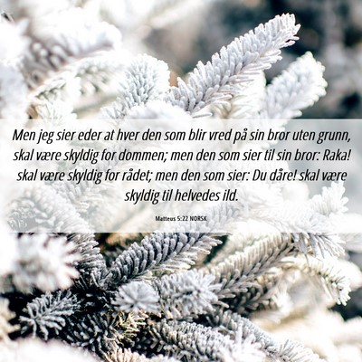 Picture 06 - Matteus 5:22 NORSK - Men jeg sier eder at hver den som blir vred på - Bible Verse Picture