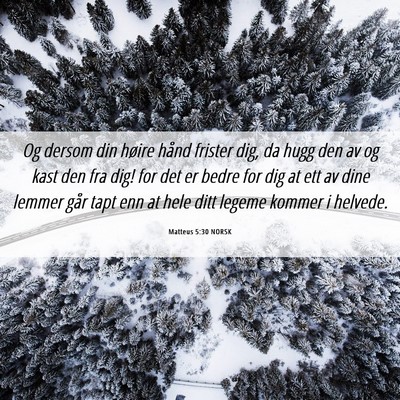 Picture 06 - Matteus 5:30 NORSK - Og dersom din høire hånd frister dig, da hugg - Bible Verse Picture