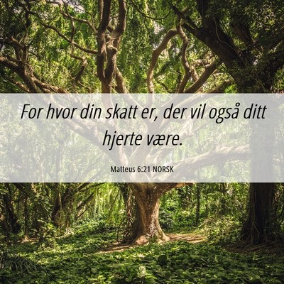 Picture 06 - Matteus 6:21 NORSK - For hvor din skatt er, der vil også ditt hjerte - Bible Verse Picture
