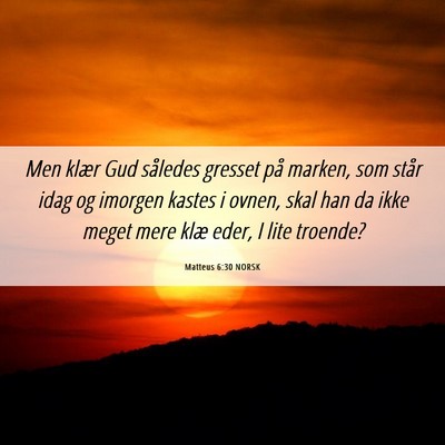 Picture 06 - Matteus 6:30 NORSK - Men klær Gud således gresset på marken, som - Bible Verse Picture