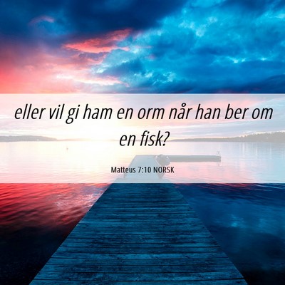 Picture 06 - Matteus 7:10 NORSK - eller vil gi ham en orm når han ber om en - Bible Verse Picture
