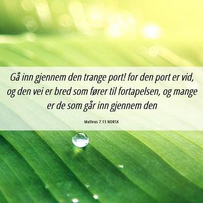 Picture 06 - Matteus 7:13 NORSK - Gå inn gjennem den trange port! for den port er - Bible Verse Picture