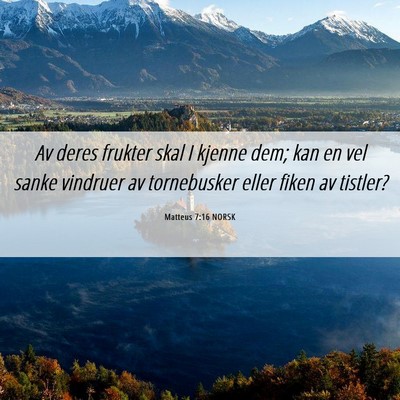 Picture 06 - Matteus 7:16 NORSK - Av deres frukter skal I kjenne dem; kan en vel - Bible Verse Picture