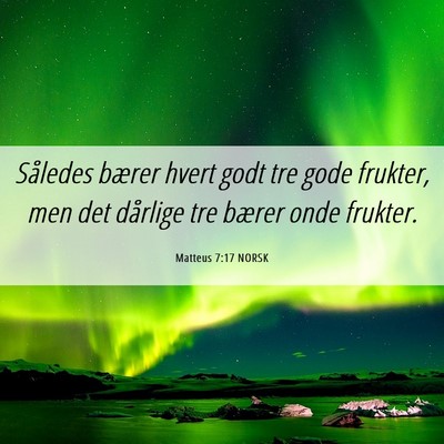 Picture 06 - Matteus 7:17 NORSK - Således bærer hvert godt tre gode frukter, men - Bible Verse Picture