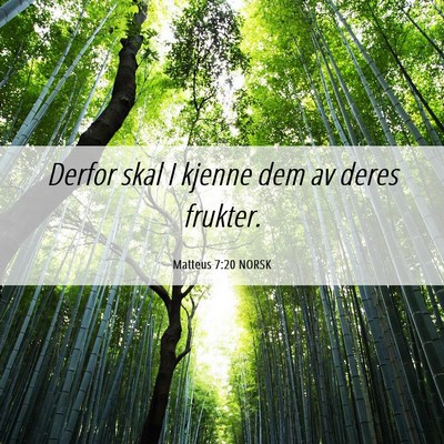 Picture 06 - Matteus 7:20 NORSK - Derfor skal I kjenne dem av deres - Bible Verse Picture