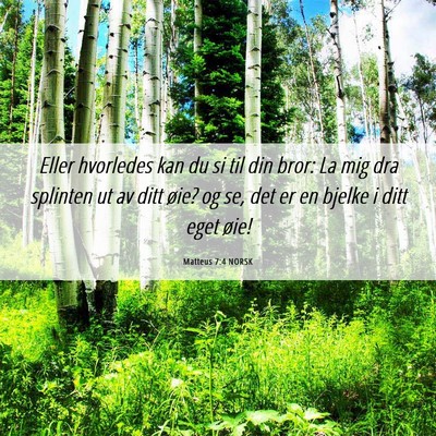 Picture 06 - Matteus 7:4 NORSK - Eller hvorledes kan du si til din bror: La mig - Bible Verse Picture