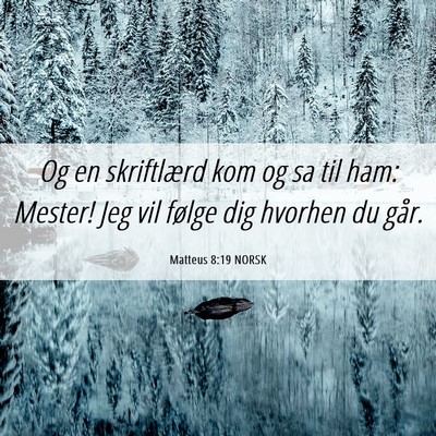 Picture 06 - Matteus 8:19 NORSK - Og en skriftlærd kom og sa til ham: Mester! Jeg - Bible Verse Picture