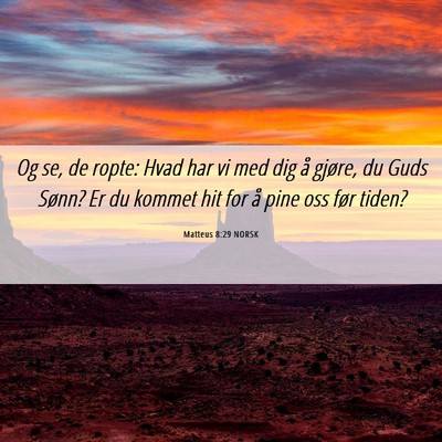 Picture 06 - Matteus 8:29 NORSK - Og se, de ropte: Hvad har vi med dig å gjøre, - Bible Verse Picture