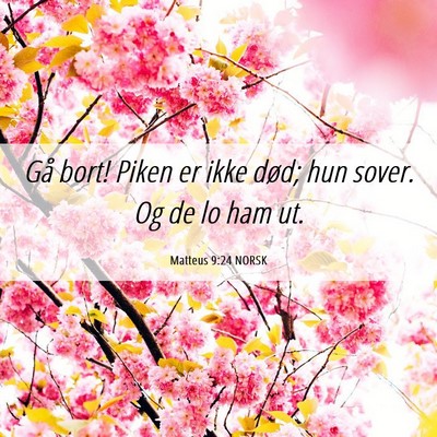 Picture 06 - Matteus 9:24 NORSK - Gå bort! Piken er ikke død; hun sover. Og de lo - Bible Verse Picture