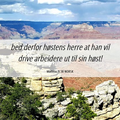 Picture 06 - Matteus 9:38 NORSK - bed derfor høstens herre at han vil drive - Bible Verse Picture