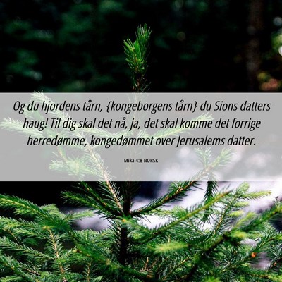 Picture 06 - Mika 4:8 NORSK - Og du hjordens tårn, {kongeborgens tårn} du - Bible Verse Picture