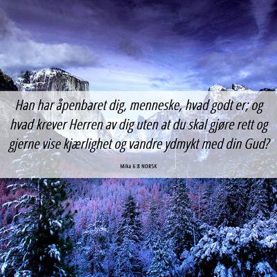 Picture 06 - Mika 6:8 NORSK - Han har åpenbaret dig, menneske, hvad godt er; - Bible Verse Picture