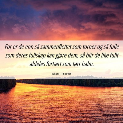 Picture 06 - Nahum 1:10 NORSK - For er de enn så sammenflettet som torner og så - Bible Verse Picture