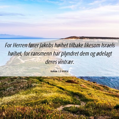 Picture 06 - Nahum 2:2 NORSK - For Herren fører Jakobs høihet tilbake likesom - Bible Verse Picture