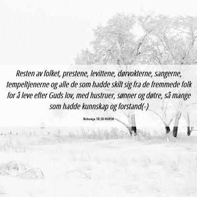 Picture 06 - Nehemja 10:28 NORSK - Resten av folket, prestene, levittene, - Bible Verse Picture